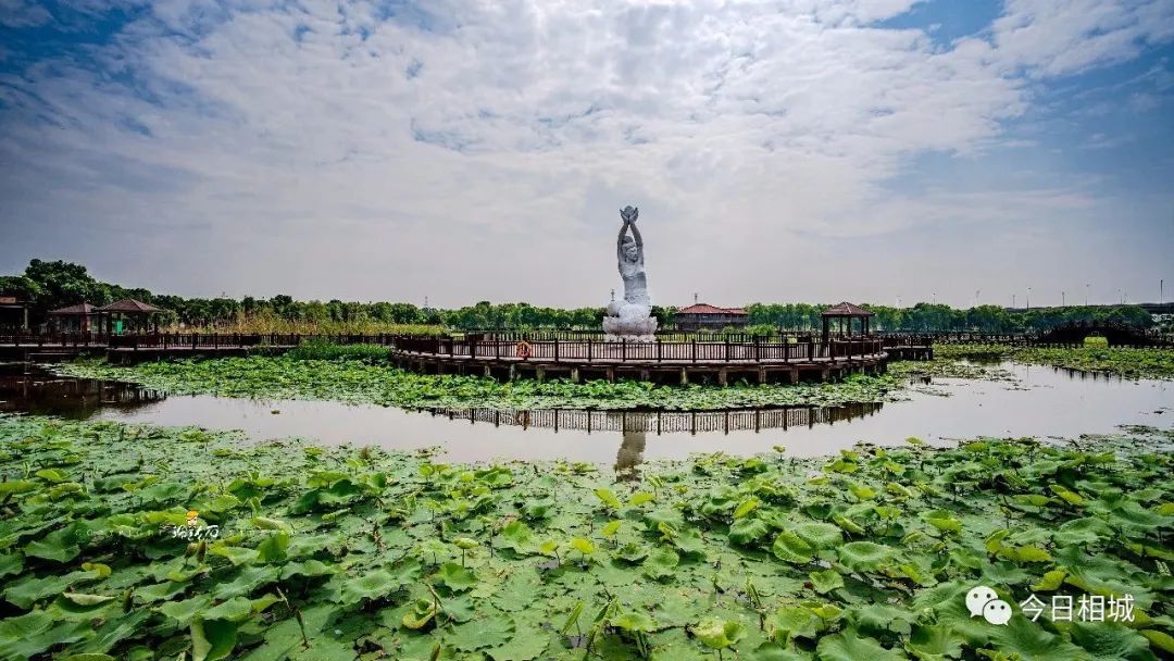 黄埭西瓜子等独特的风物美食也是相城人舌尖上难以割舍的珍馐夜色中