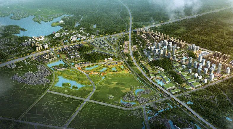 启动研究轨道交通南海中学实验学校仙湖隧道佛山仙湖氢谷10大项目亮相