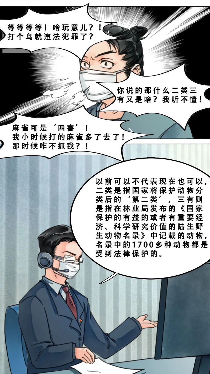 津检说法 漫画 捕捉麻雀也违法 检察官有话说 政务 澎湃新闻 The Paper