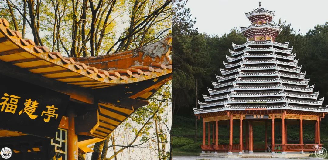 写尽溪山,落笔是你@贵州大学_政务_澎湃新闻-the paper