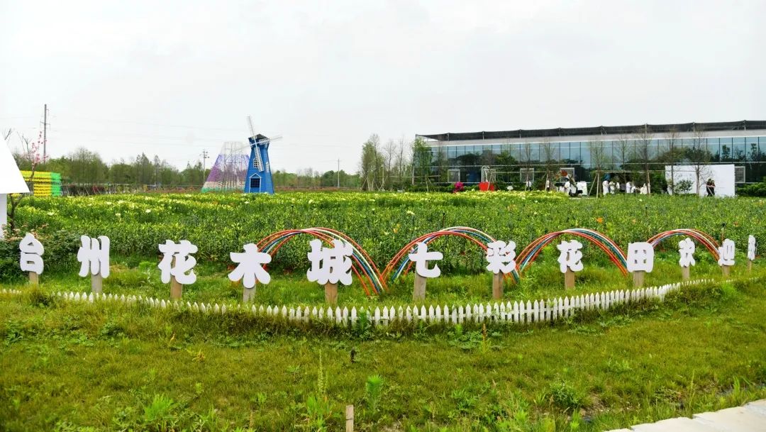 拥抱五月——单身派对缘来是你"在路桥区美好生活实践基地花木城隆重