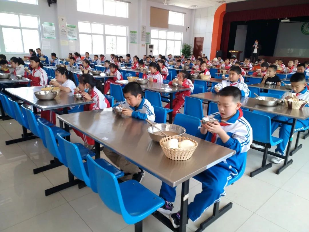 虎头崖镇寅祥路小学朱桥中学金城镇中心小学经济开发区学校学 习 篇