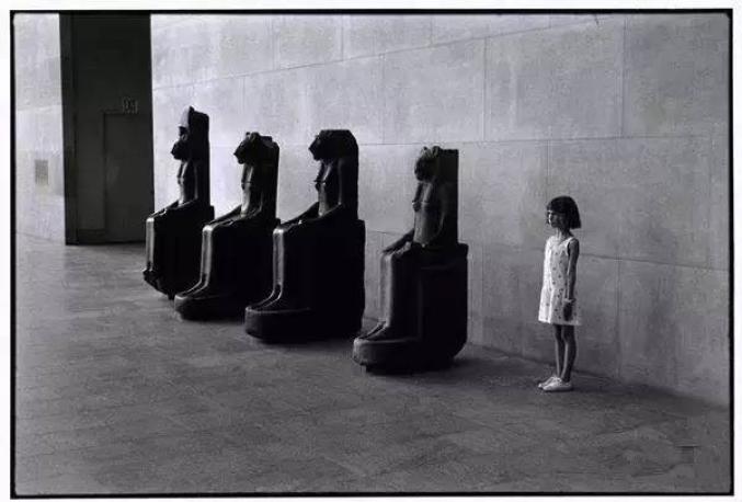 艾略特厄威特elliotterwitt