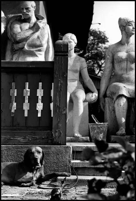 作品时,说了这样一句意味深长的话:"世界上有两种摄影,一种是艾略特的