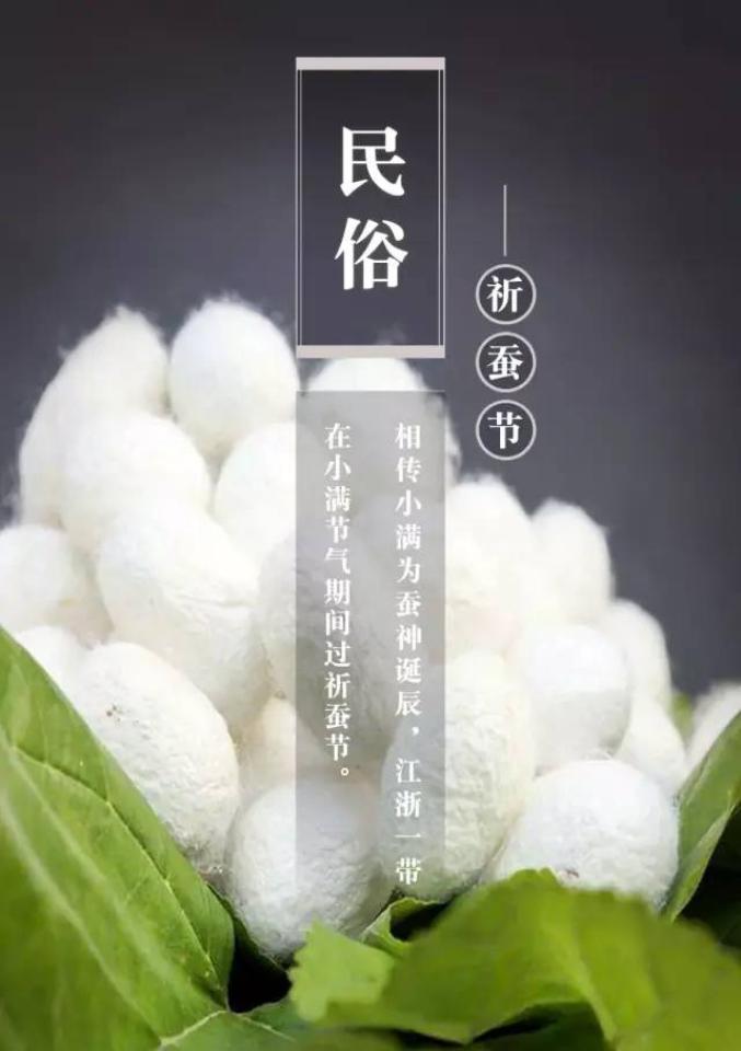 今日小满丨小满写满了四季的小确幸