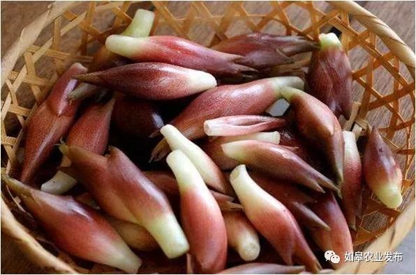 优品寿乡 真香 如皋又新增一 国字号 这东西很多人爱吃