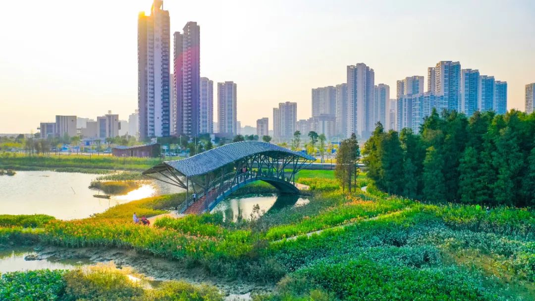 资料图/黄杨河湿地公园
