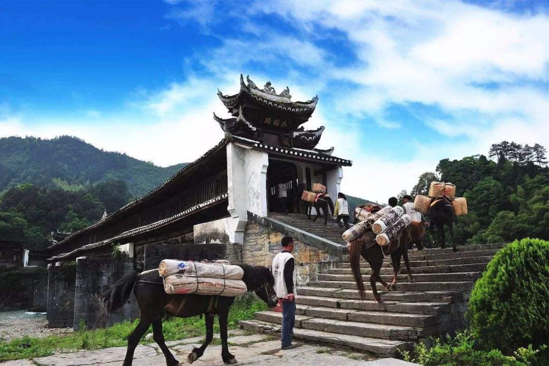 只需改变一个动作,上下楼的“伤”膝就可以变成“护”膝