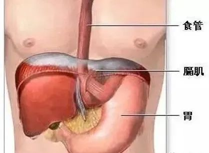 看胃痛却查出肺癌 医生提醒 有些 胃痛 不一定真是胃病 媒体 澎湃新闻 The Paper