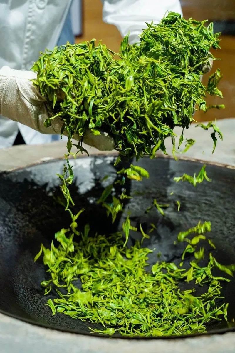 首个国际茶日独家探访金井非遗制茶工艺