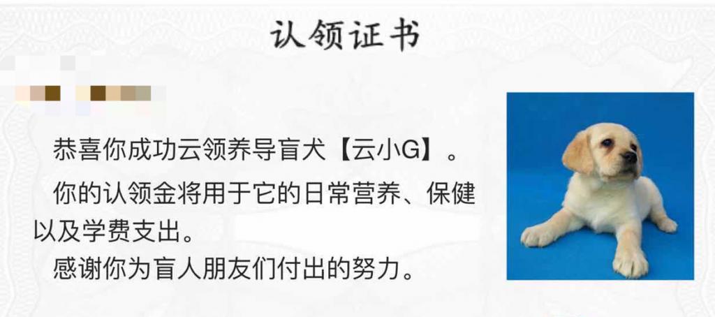 △网友积极参与导盲犬‘云领养’活动 西安阳光使者导盲犬学校供图