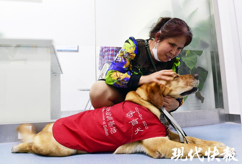 △祝爱叶和导盲犬多多