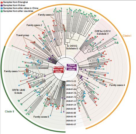 1717 图1 sars-cov-2 病毒基因组进化树从临床和免疫学研究发现