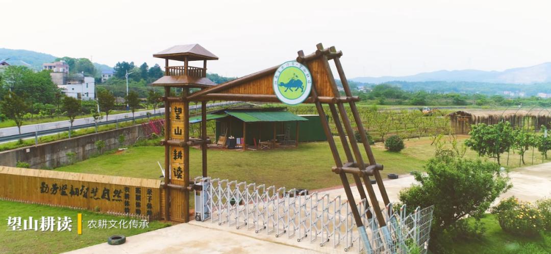 带孩子到望山耕读研学基地,新中荷农场"种地",不仅让孩子体验农村生活