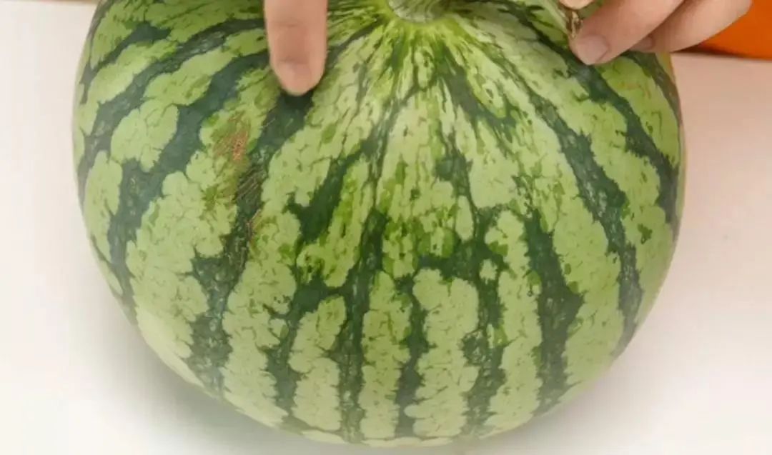 吃了30年西瓜才知道,在西瓜上插一根筷子太厉害了!
