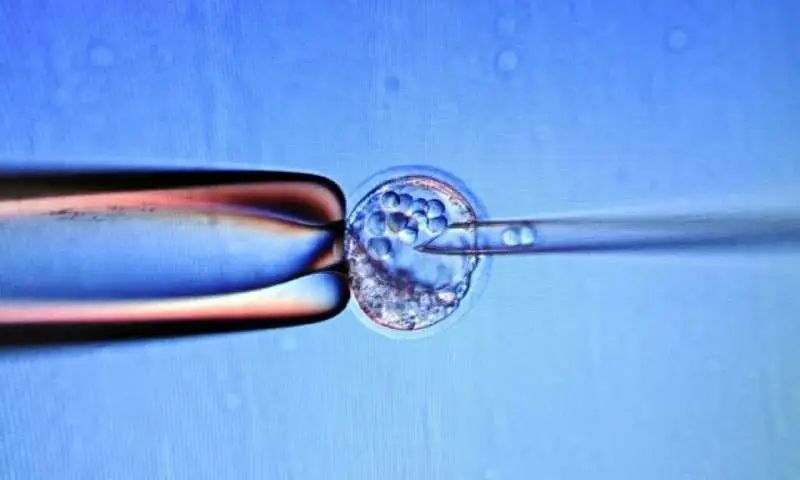世界首例胚胎干细胞培养的肝细胞在新生儿体内移植成功
