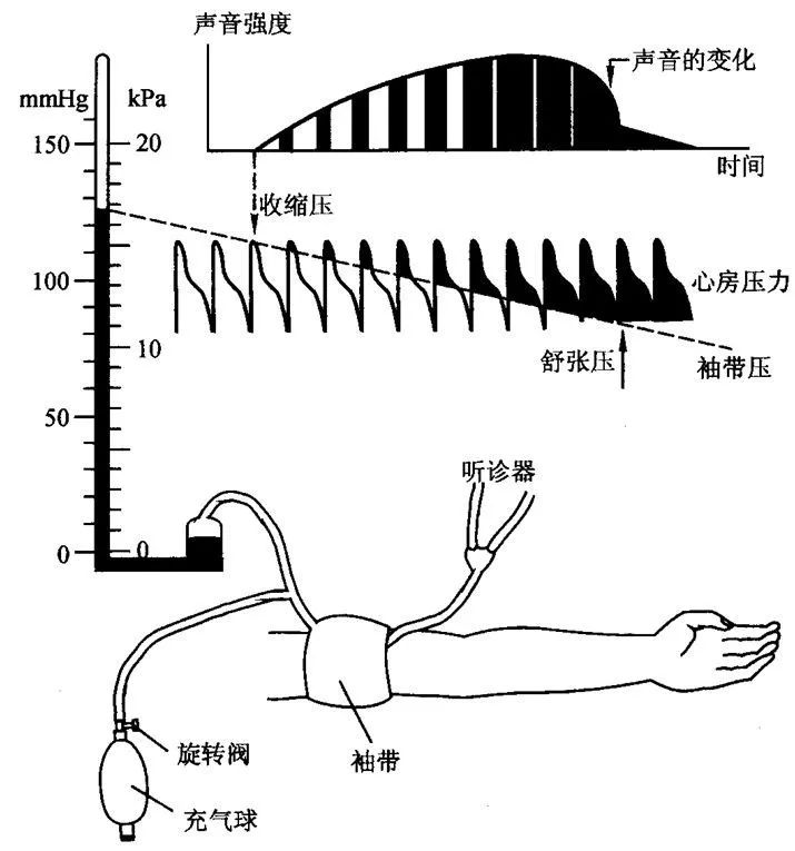 原理20水银血压计和电子血压计的测量原理检验人员找来了7个被测试者