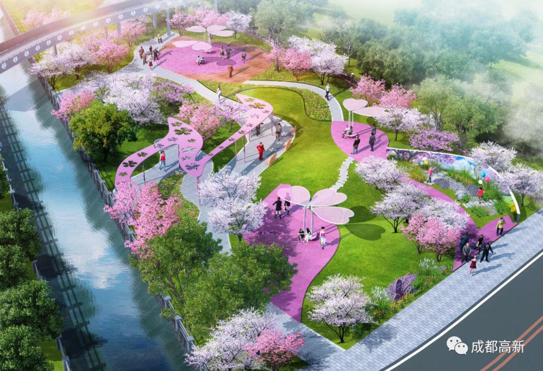 樱花大道空中花廊口袋公园剑南大道今年即将大变样