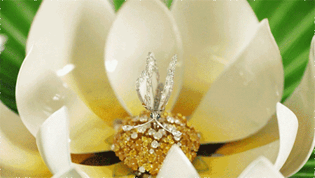Van Cleef & Arpels梵克雅宝,才不只有四叶草当家呢,人家是自然的精灵|图源于网络