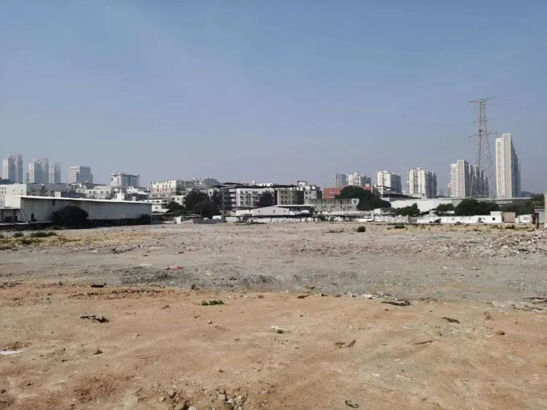 洪水头社大片空地