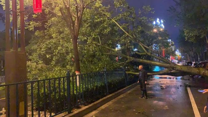 大风大雨中,他们在行动!