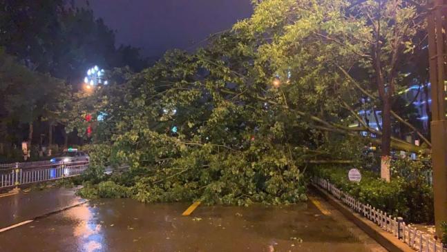 大风大雨中他们在行动