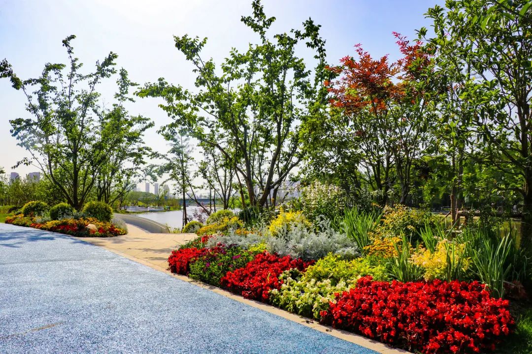 流水一路高歌而去奔流不息置身于这一处滨水景观带有种不真实的错觉干