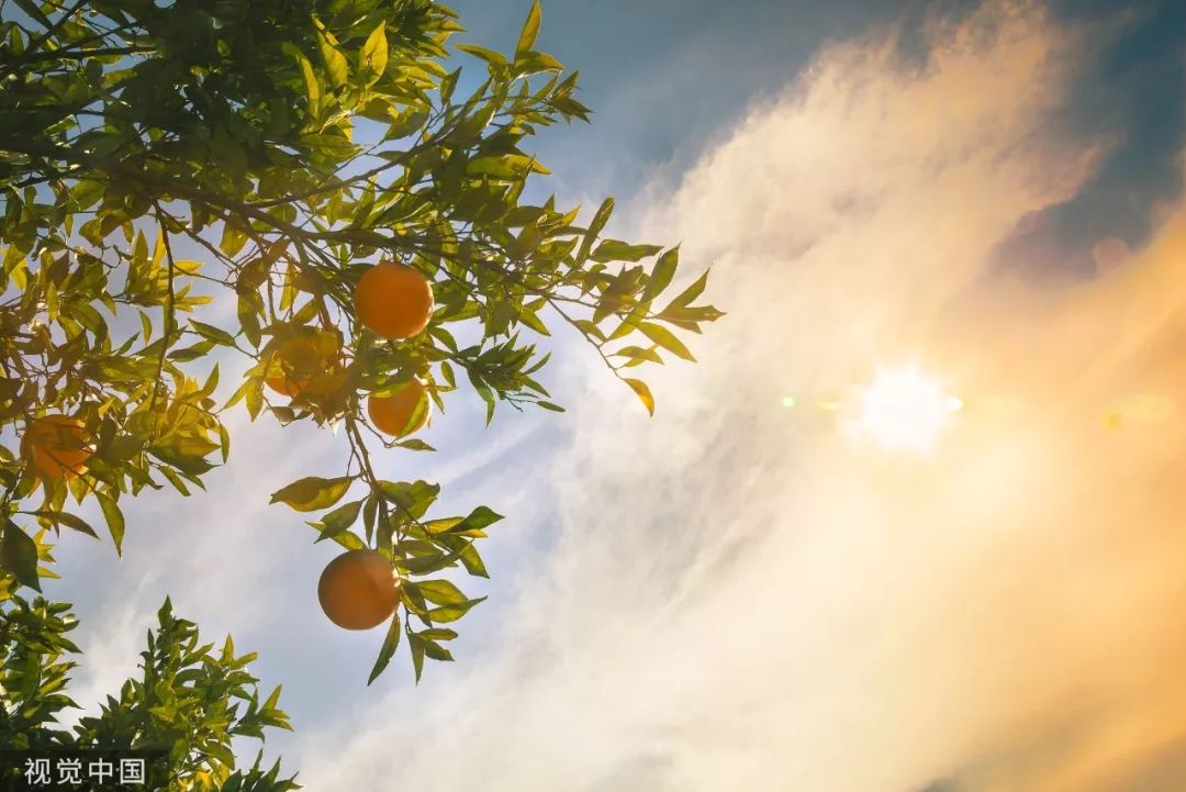 你对生活心平气和生活才会对你和颜悦色