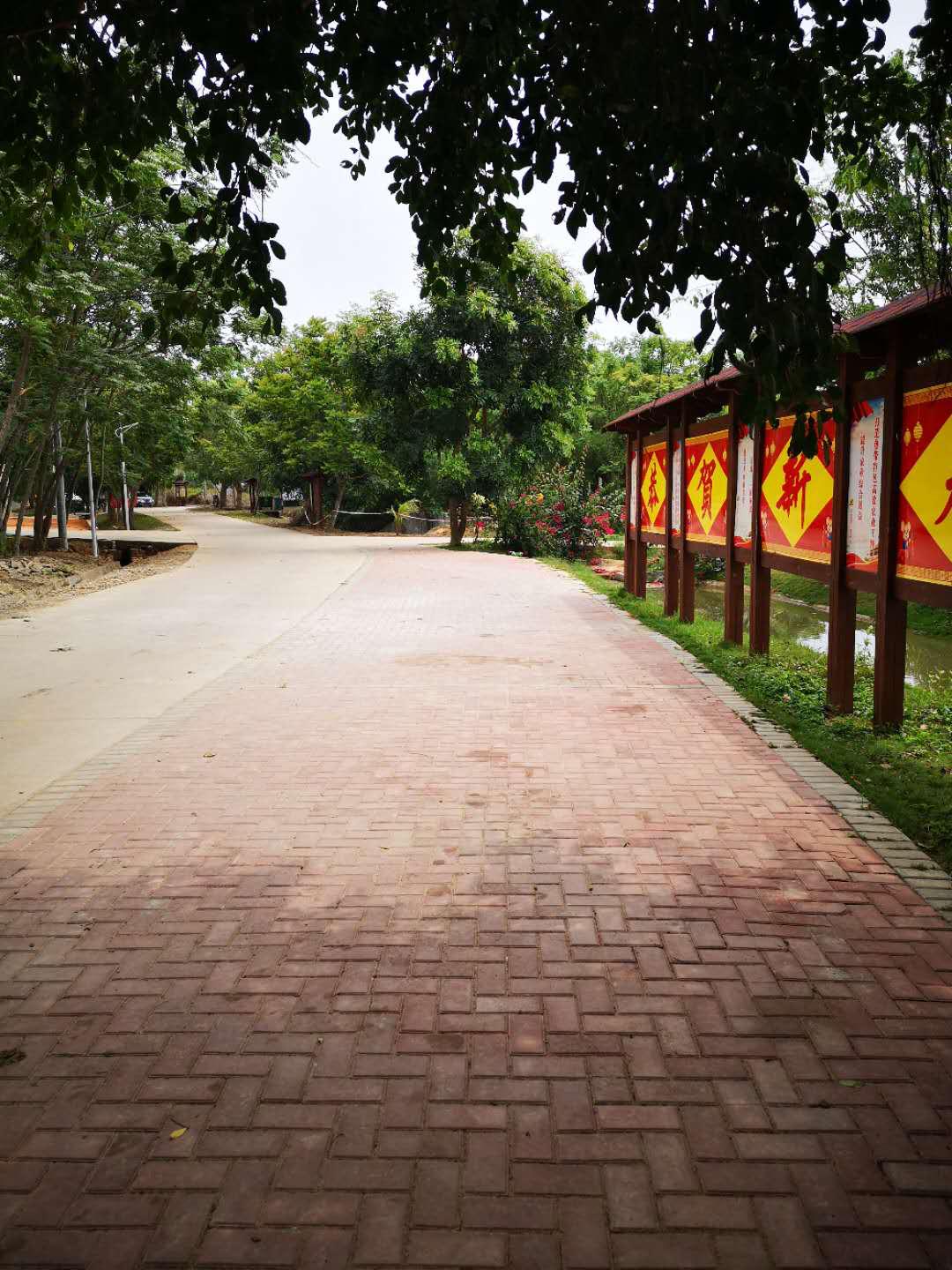 凝聚巾帼力量  共建"美丽家园"——儋州市东成镇"美丽家园"建设