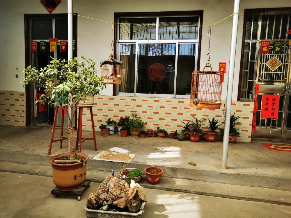 注重家庭家教家风沂蒙母亲素质提升工程集中展示月沂水县提升母亲素质