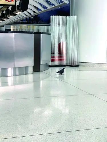 门可罗雀的肯尼迪机场 nancy 摄nancy妈妈开始还觉得买机票这点事