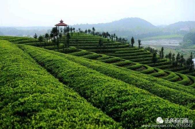 鄉村旅遊且看千年古鎮石門街