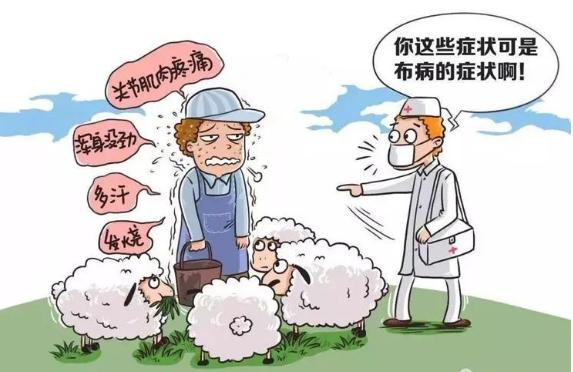 积极防控布病构建健康社会