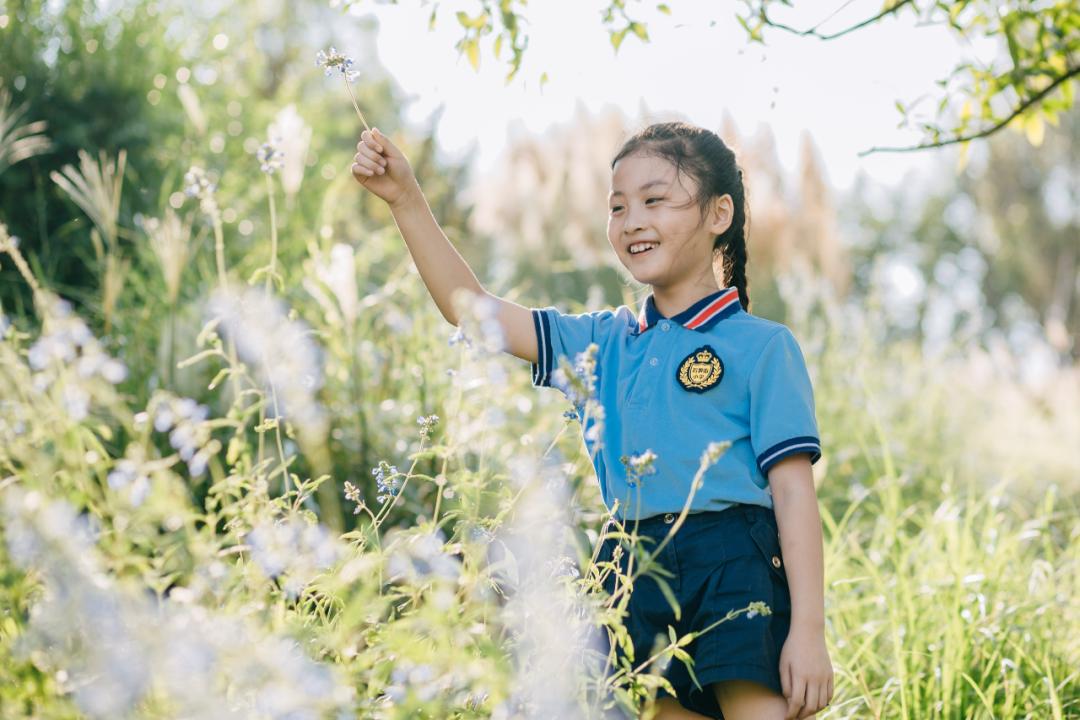 立足彰显"生态属性",建成鹿溪智谷示范段,十里香樟林等重大生态项目