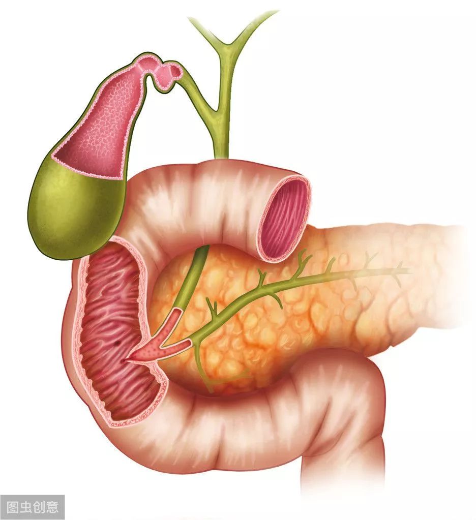 男子3次腹痛均診斷胰腺炎會不會癌變