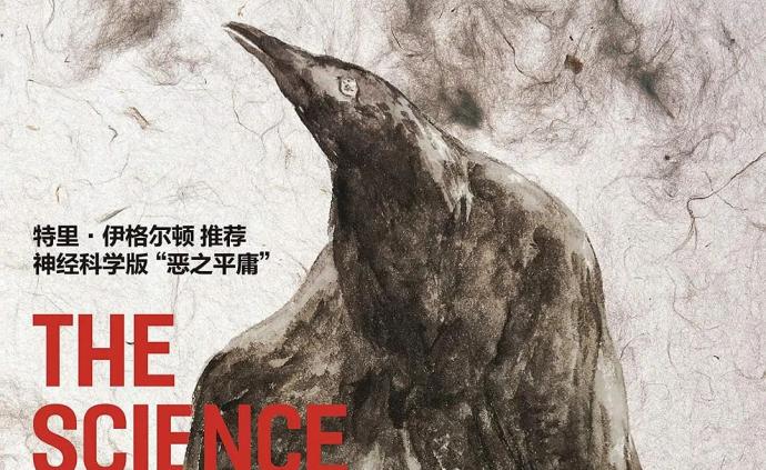 澎湃新闻 专注时政与思想 thepaper.cn