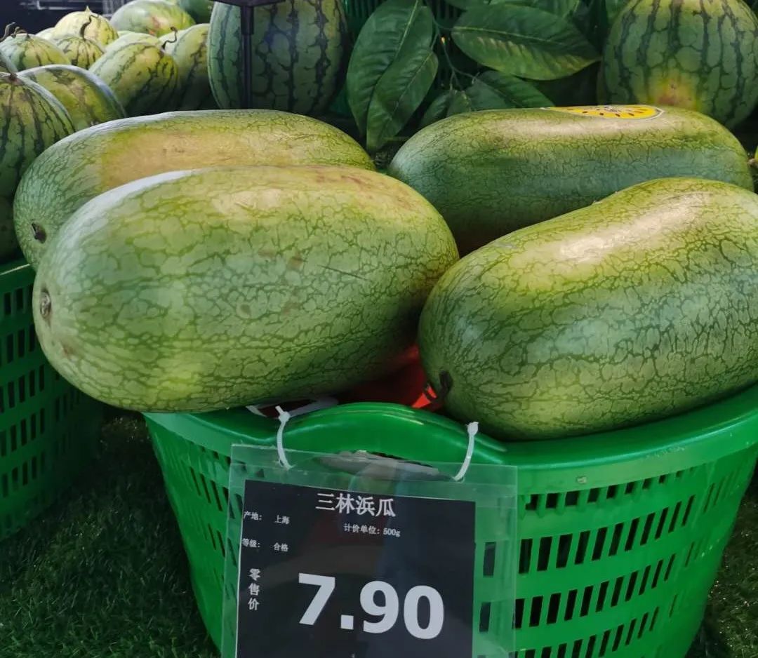 吃瓜群众有口福了中山公园家乐福现场搭起瓜棚