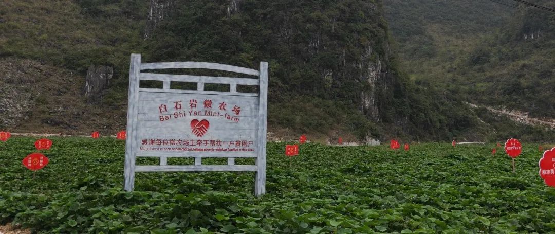 速来认领农场啦白石岩圆你农场主梦