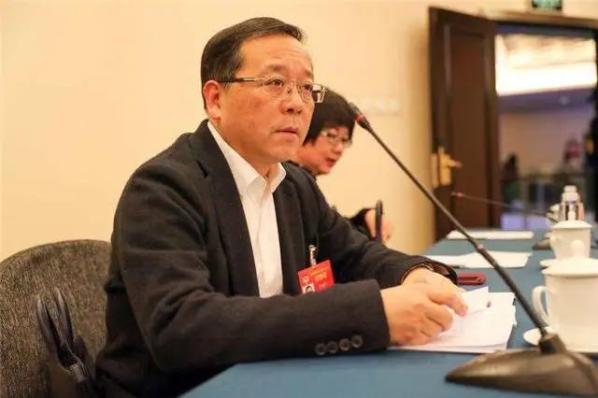 两会声音丨李国华学校家庭和社会共同补好青少年心理健康这张网