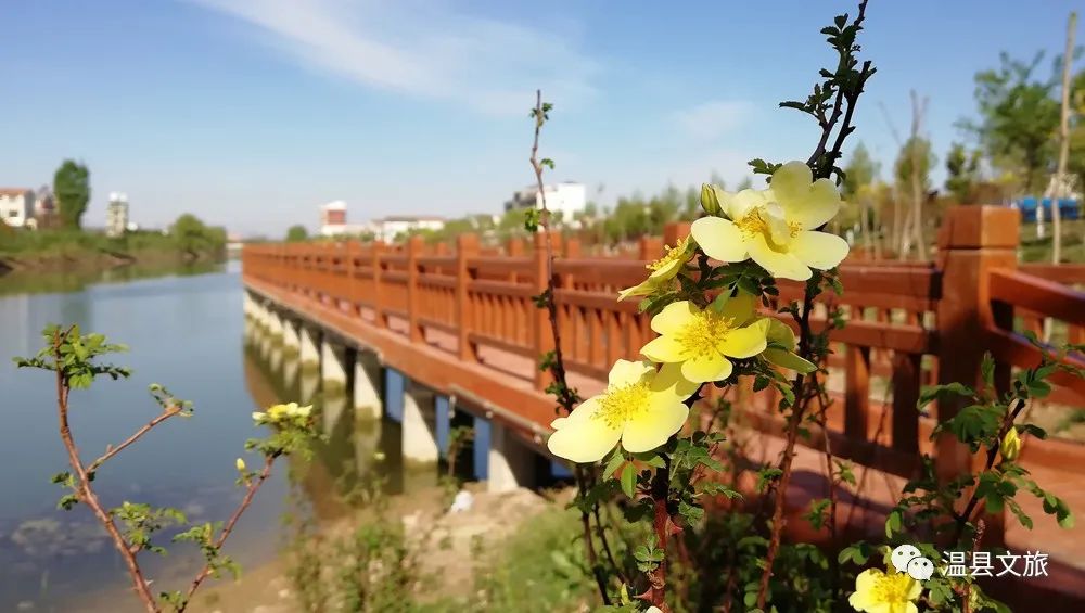 光影记!温县的十二时辰
