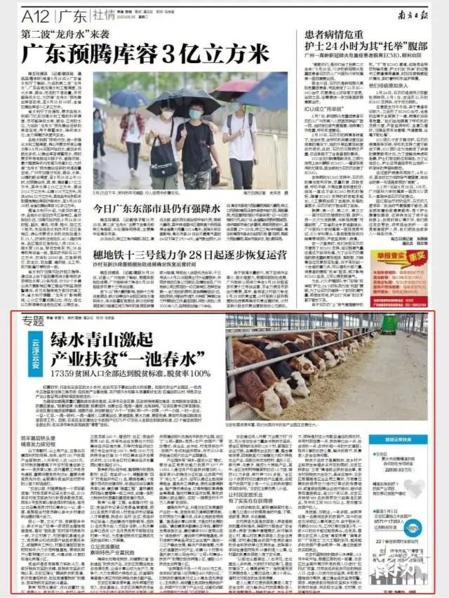 南方日报 云浮云安 绿水青山激起产业扶贫 一池春水