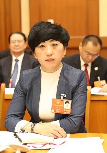 全国人大代表税收大数据为上下游企业牵线搭桥畅通产业循环