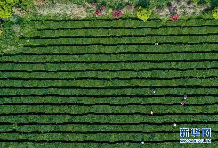 贵州省省长谌贻琴接受新华网专访 为绿色优质农产品"带货"