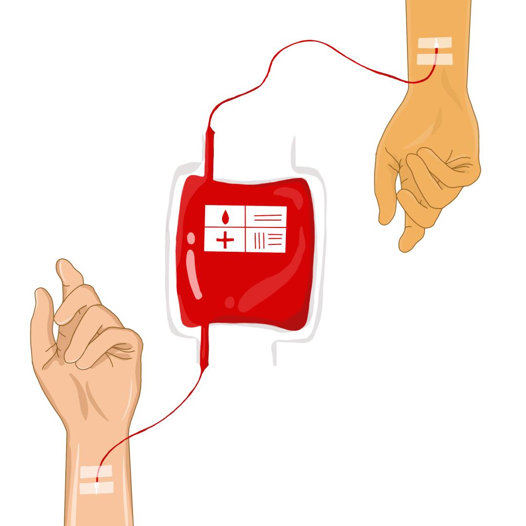 捐献造血干细胞宝山青年诠释生命相髓彰显大爱情怀