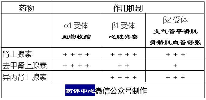肾上腺素去甲肾上腺素异丙肾上腺素之间的区别