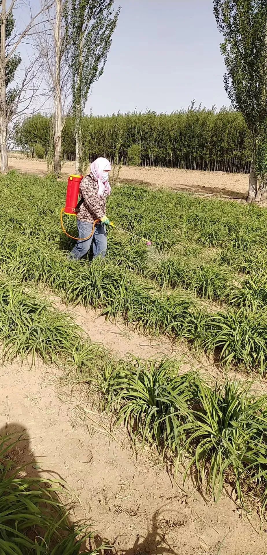 学习手记丨“三农”工作务求因地制宜