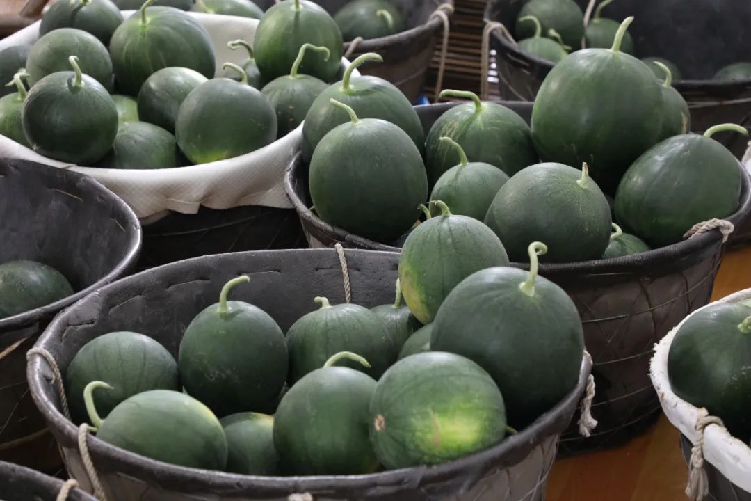 剥皮吃的西瓜你见过吗?金山"黑津"西瓜来了!_政务_澎湃新闻-the paper