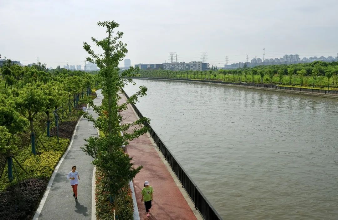 九亭"水世界"原来这么美!_澎湃号·政务_澎湃新闻-the paper