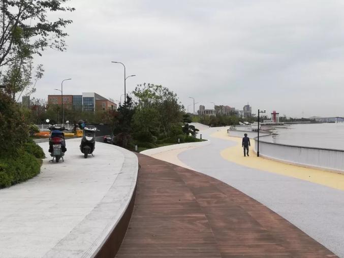 舟山日报社原标题:《滨海大道零时,通车!