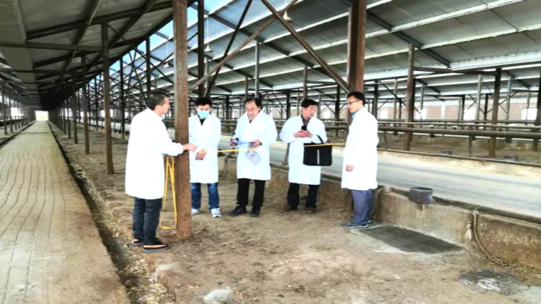 通辽新闻晚河南新闻餐│2020